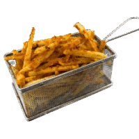 Special Fries - Kabab Palace Albany - Authentic BBQ in Albany